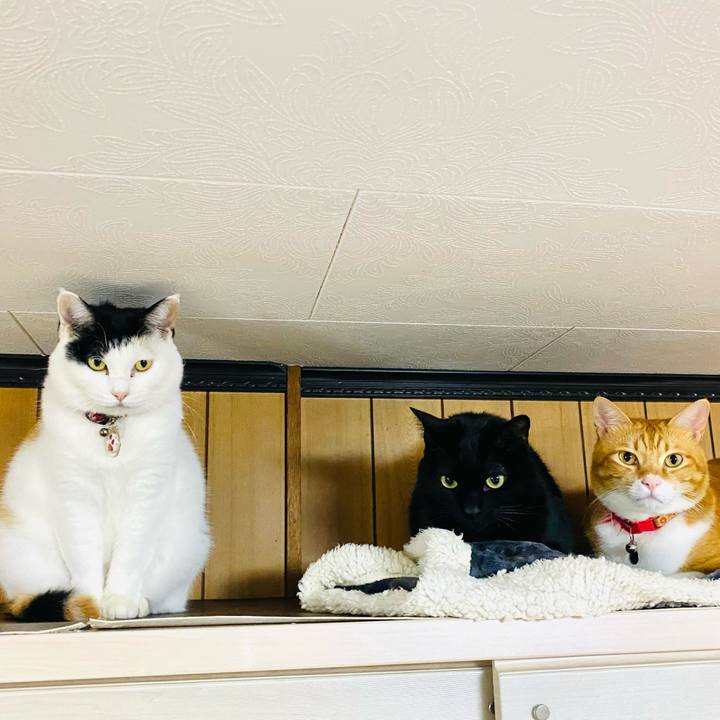 8f5a3867 5b2d 4d70 8484 cc42b60fcb43 1732621740841