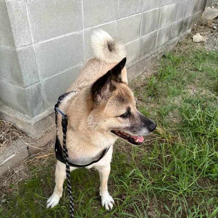 8f5a5472 1478 4c85 8cf4 c4235fa7ef05 1756814497748