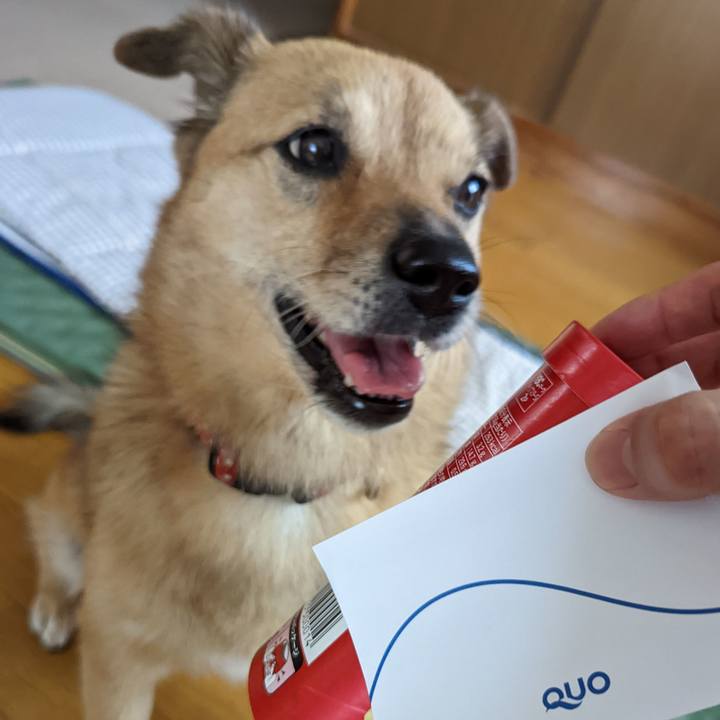 8f5a6281 93cb 4e78 9d67 7facaf5c4b53 1662974381232