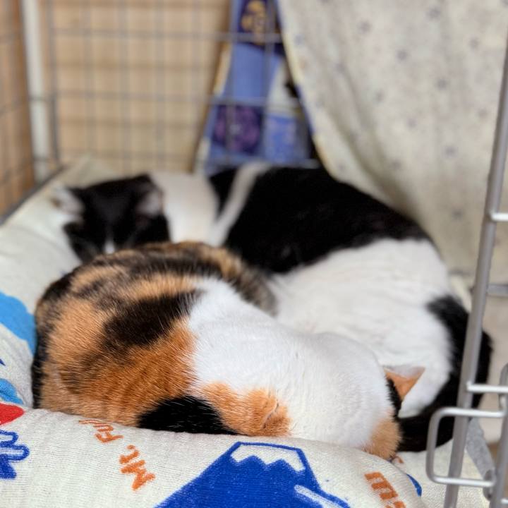 8f5ab526 92dc 4ef3 a7b6 302a2de57b99 1735437104798