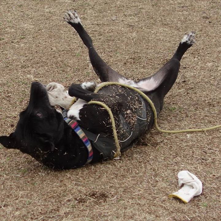 8f5acf0c 1b37 493c bc9d 7043e3e65703 1646358139729