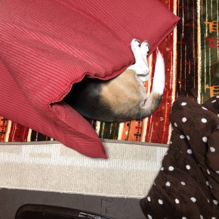 8f5aec71 2737 4ab3 91ad b5cff2ddb044 1552525472257