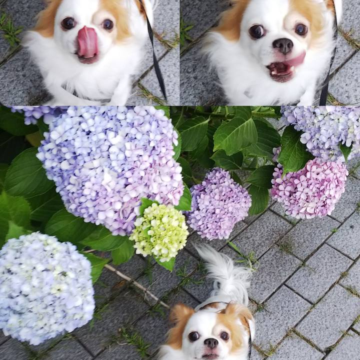 8f5afa33 df13 44ea 9626 7ea3d7a5de0f 1694234891217