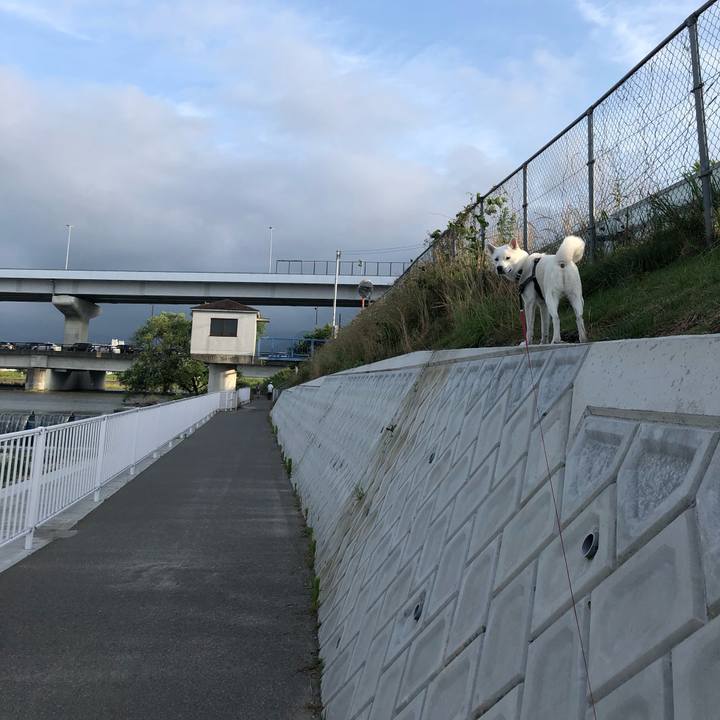 8f5b0072 0e90 4a8e b047 bf8f35baf9a4 1559986116004