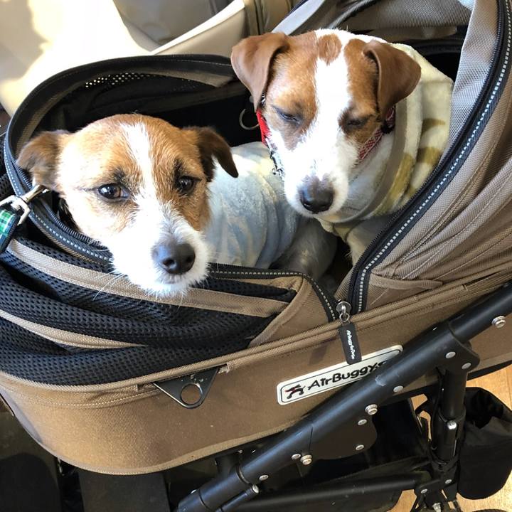 8f5b0c57 f3d7 447d b364 4bee9f3ca006 1518952705400