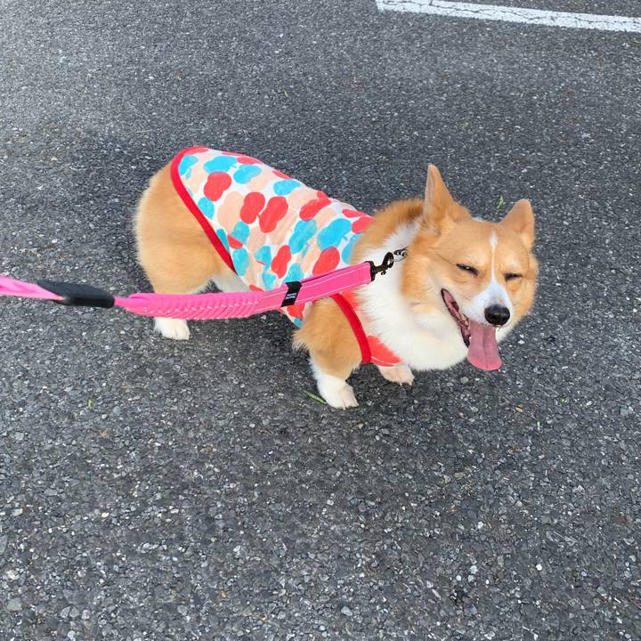 8f5b44da 711c 462d b17b 040419810529 1591828493769