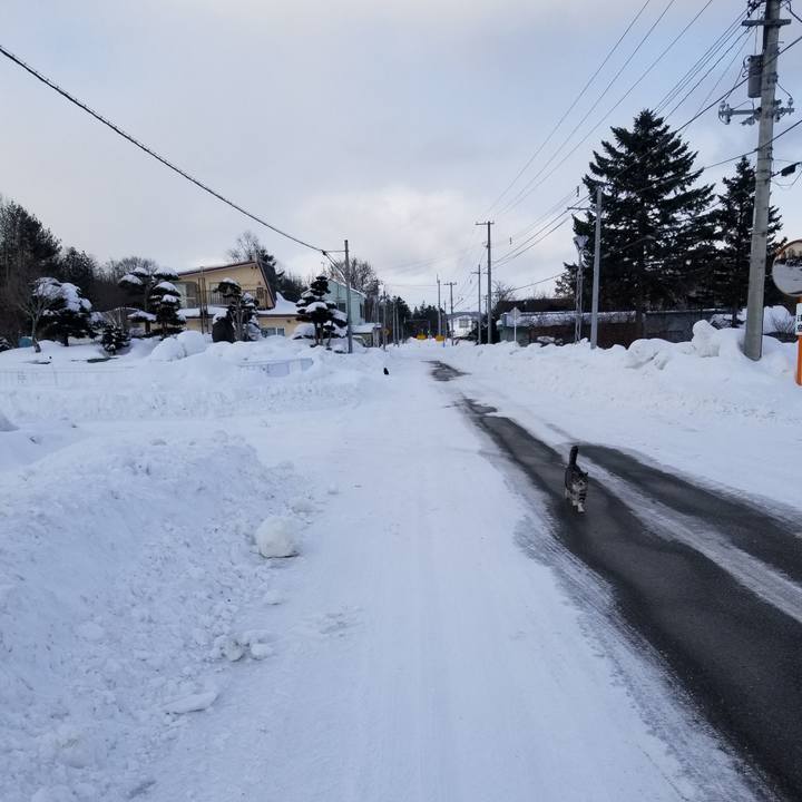 8f5b5fb7 408e 4157 ac81 1b4f07040caa 1673768146420