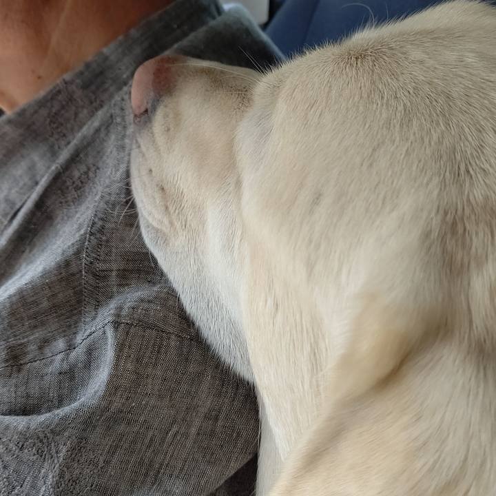 8f5b6a1c 3212 4935 9497 6d9c01735b0c 1652266389801