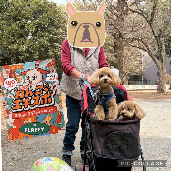 8f5b7784 5218 4c35 b041 cb29e71da8aa 1774310005545