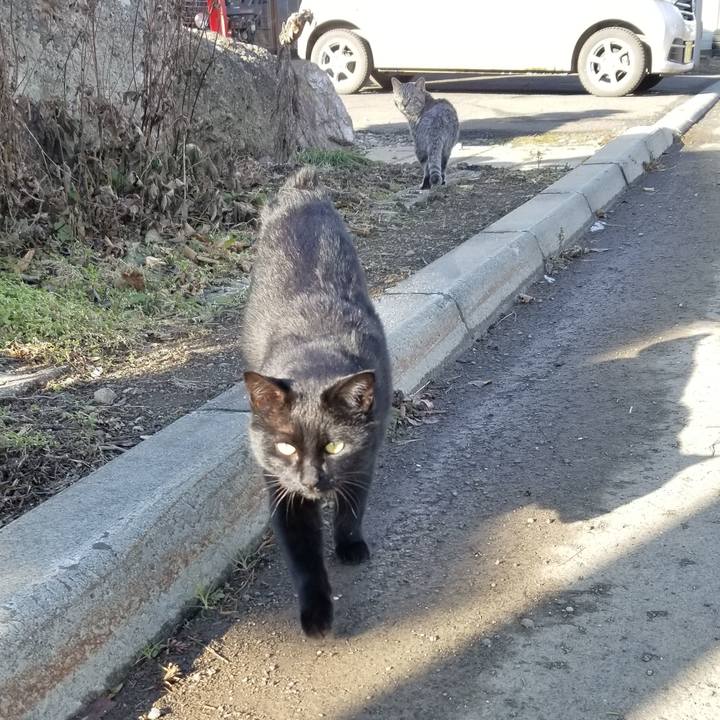 8f5b7c44 0049 4b91 a8ea d68bf8938161 1639667150978