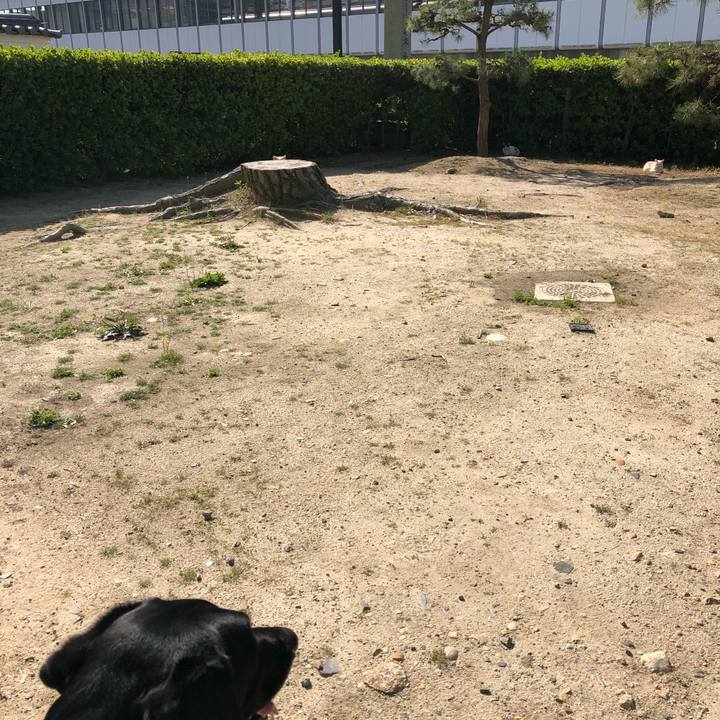 8f5bb962 a10a 4347 8636 b62cee44638e 1622953202902