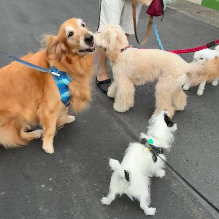 8f5bd5df 2509 4b0b 87d8 098e652312dc 1759533441800