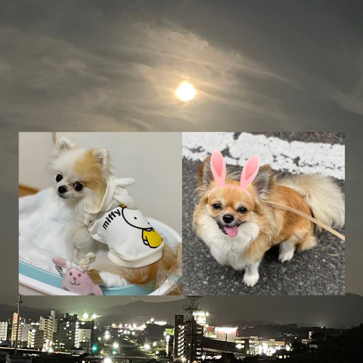 8f5c2c07 ea9d 40bd b4ce 3e83dc088b6a 1662809114385
