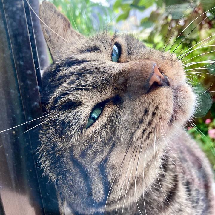 8f5c4a27 6bec 4498 9bfd 6976e345b0dd 1663022222417