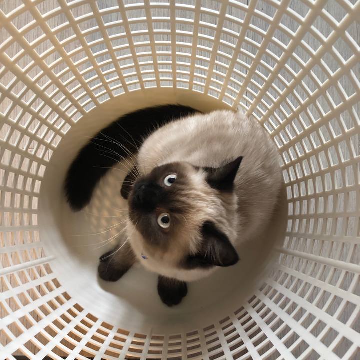 8f5c5e43 87df 4331 937f d508e789ece1 1591844544420