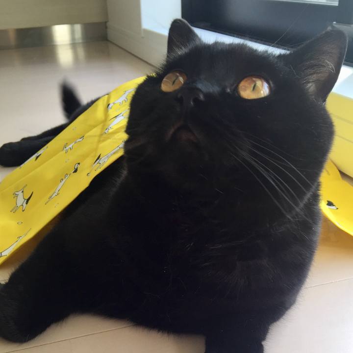 8f5c7c17 22aa 44bd b173 59f3ee4bbae3 1527237147601