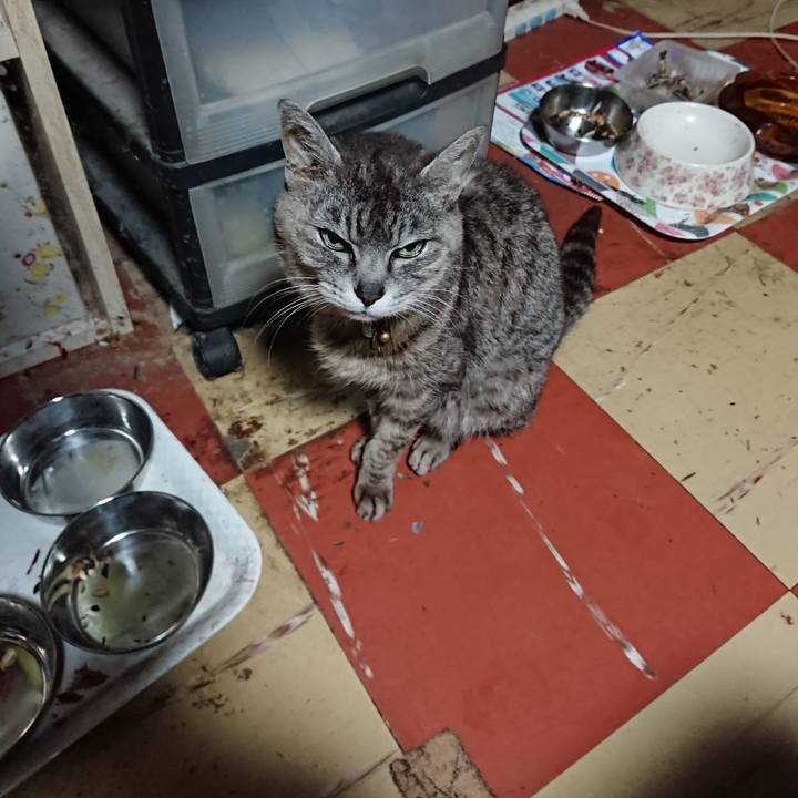 8f5c82f4 c686 4aaa aed4 370c88ef58e8 1593718027607