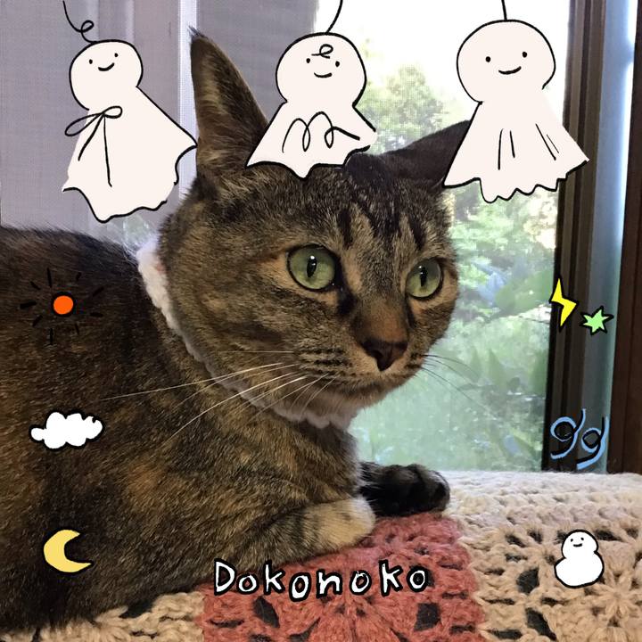 8f5c91df 65d0 4cef a4d6 a5efa7946f06 1749115867038