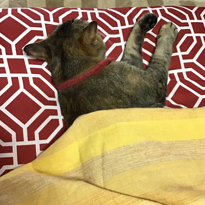 8f5caa19 1b10 40da 8af2 cf8bc99f4337 1611374824652