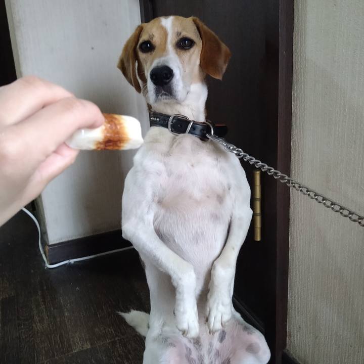 8f5cc481 87e0 4535 af19 6b1790387663 1658199695239