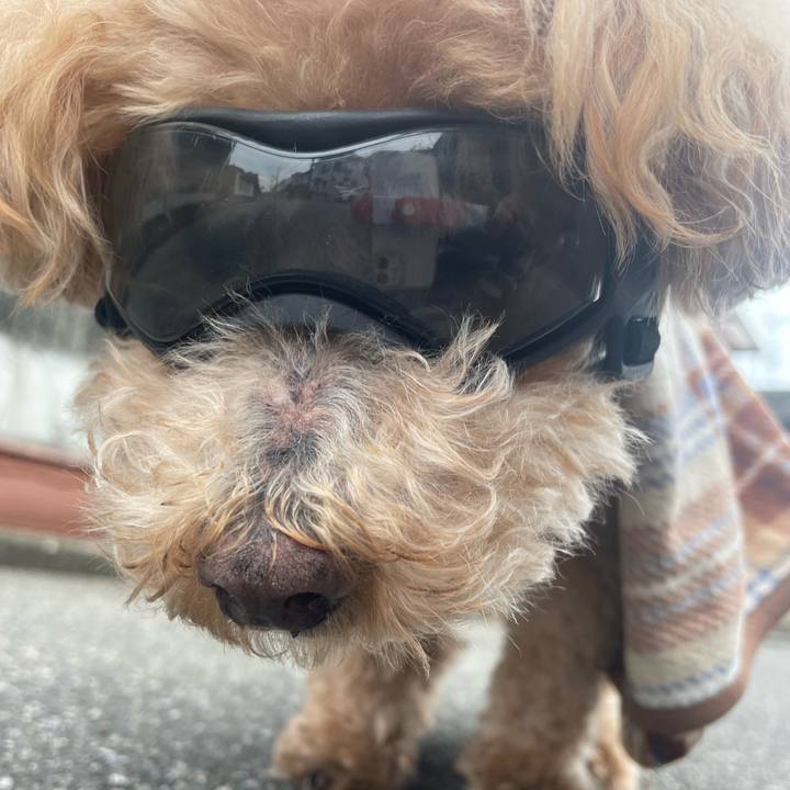 8f5cd639 d896 46f7 a8b3 862e8e5f2027 1762048788662