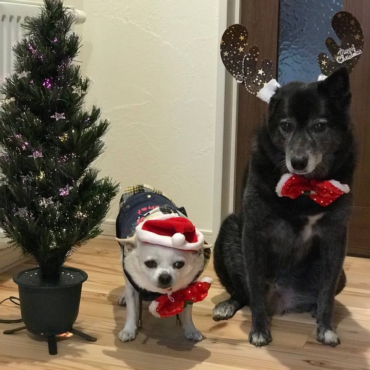 8f5cf043 b011 4a54 ba01 6ffd01ae317f 1577254556084