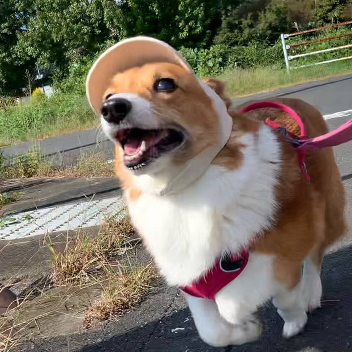 8f5cf88d 9a11 4555 9239 aff80d332708 1666143812377