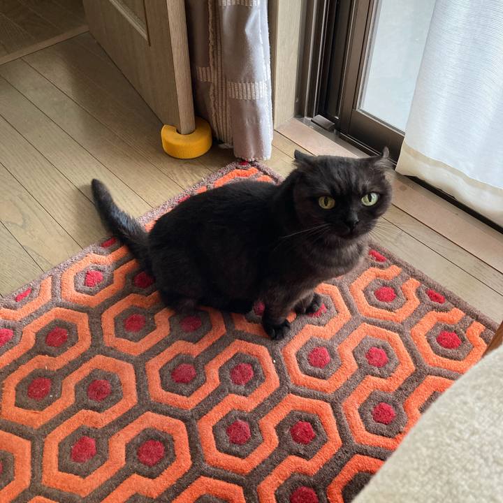 8f5d0778 6d27 4d7d 9c4d 8d1e838dff99 1599709866137