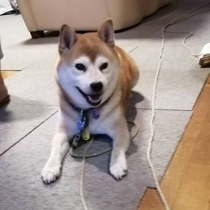 8f5d36af a15b 4742 bac3 f19ec8c4128a 1599655366605