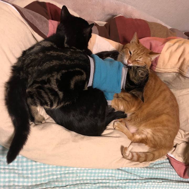 8f5d5138 9fba 42d6 a04d e28908a6b57f 1736669570501