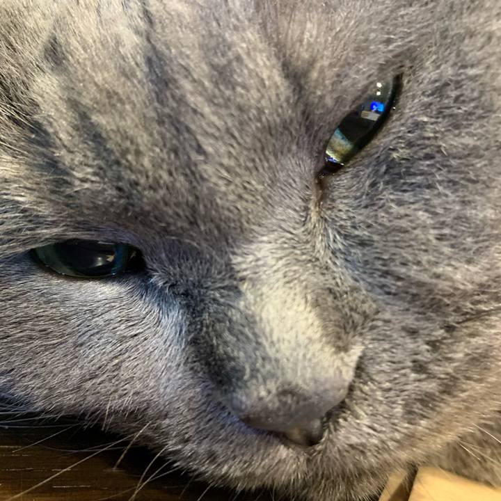 8f5d7764 c66b 401f 8ae5 b58024711c9b 1638568501144