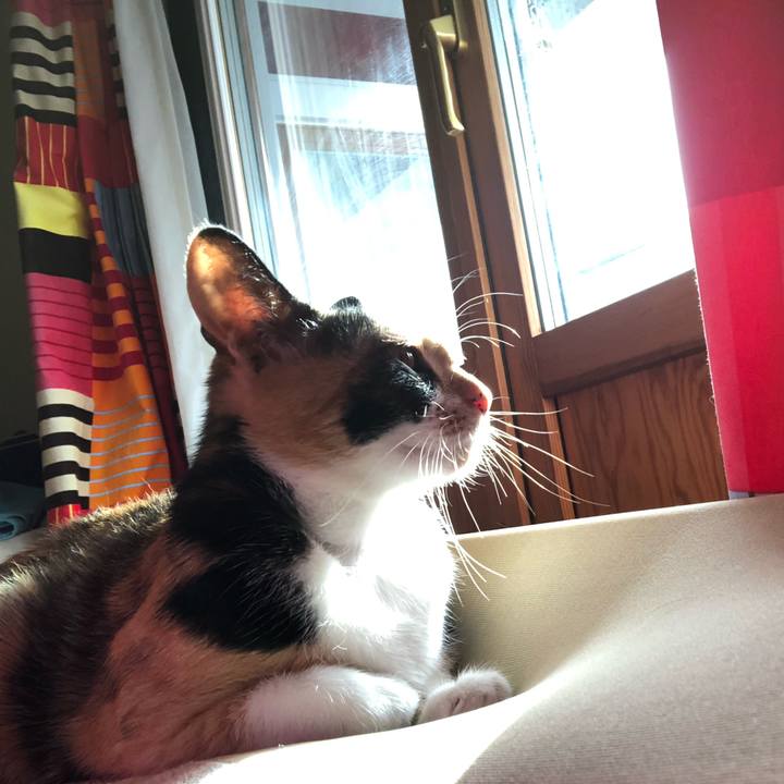 8f5d82c0 c4f7 486b a91a 2bc7b648a6d2 1581734856467