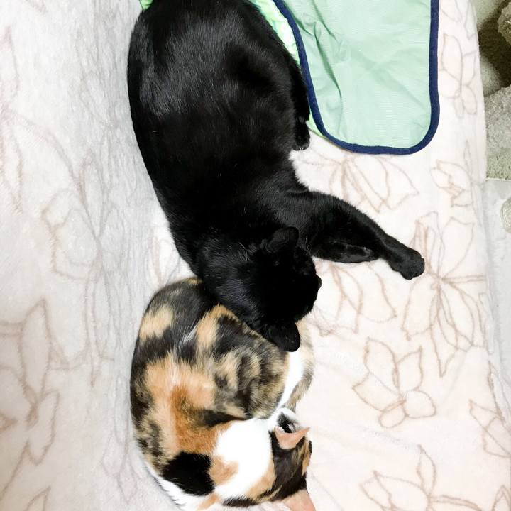 8f5da20f fcdb 4cd4 a144 8db7ff53daaf 1528296774914