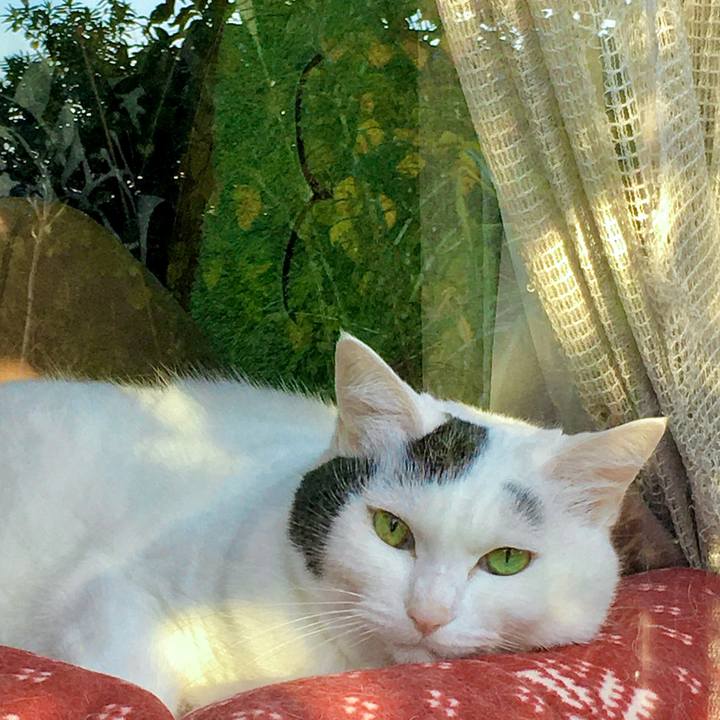 8f5da272 6973 469e 86aa 5296b1185f0b 1619565786304