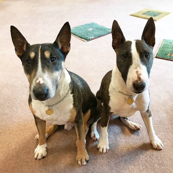 8f5dc8e8 9de0 43bb bb02 cd307622ac47 1591350832423