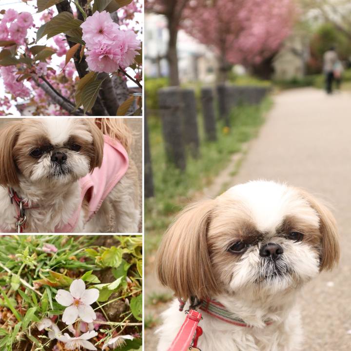 8f5ddb5c 91de 4425 824a f3e9c6c40807 1523235281175