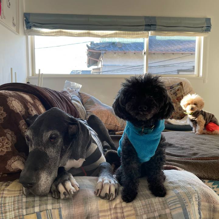 8f5de09c 00fc 42de b9a0 c1ac843959be 1645396484079