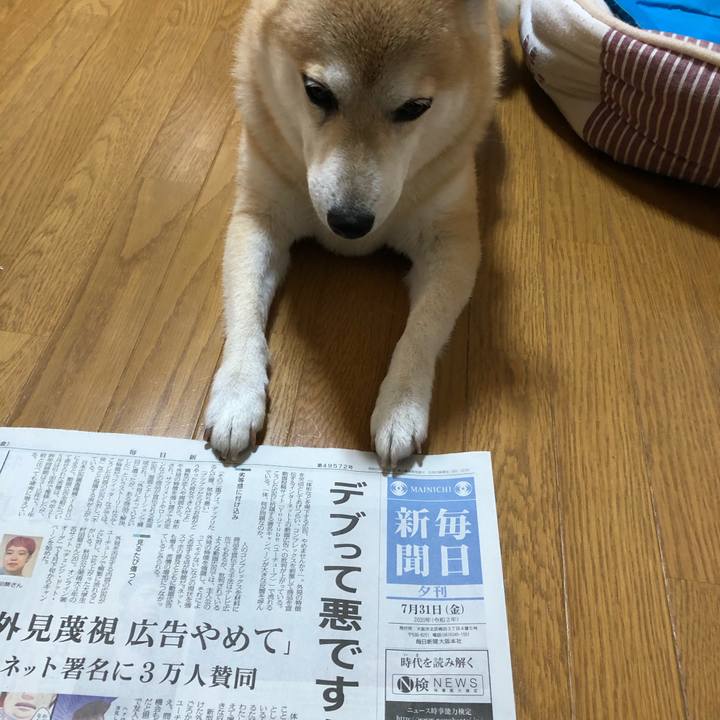 8f5e0a2e 32d8 4bdb ab64 0d8f29c967a3 1596285962557