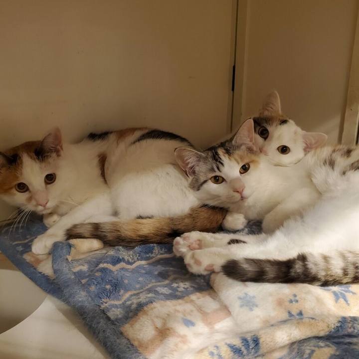 8f5e12df 3a65 423c bb26 bdab2d96d89a 1759980276423