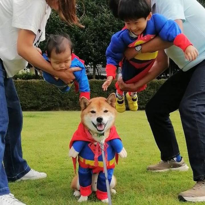 8f5e3b10 abdb 45d6 a15b 566be956e37b 1632829254964