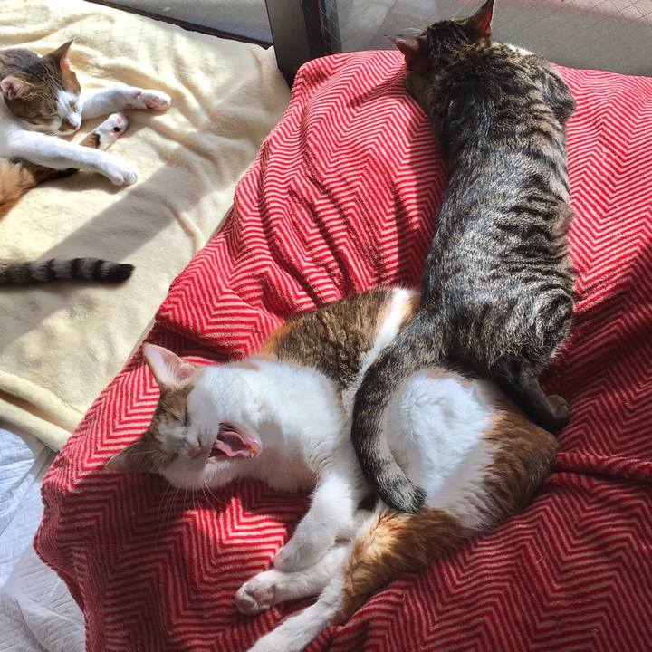 8f5e6162 dffa 4c26 b14a c8d3dd73d8f7 1540372669139