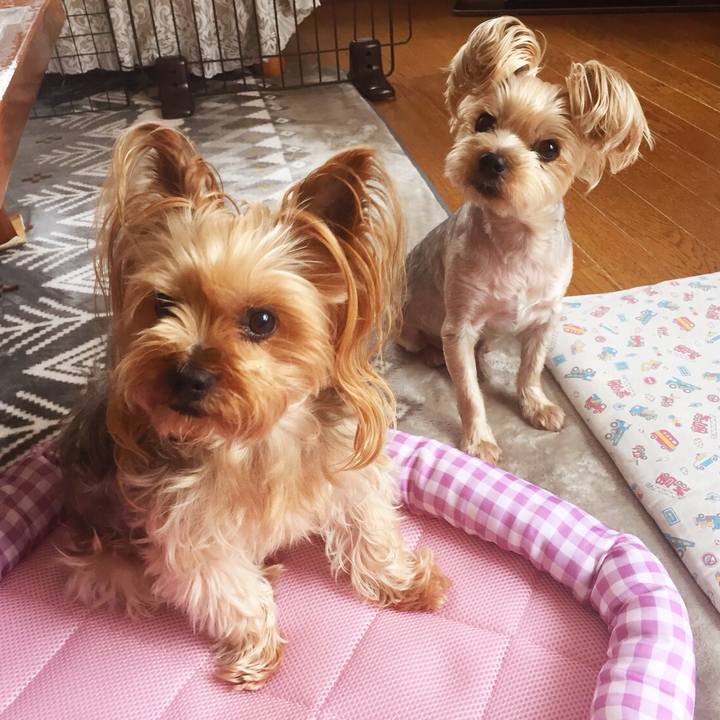 8f5e8e77 b2e1 447d 9687 346007494281 1531283391294