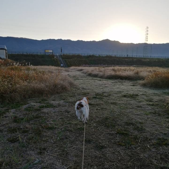 8f5e92b2 42e9 4c25 aaa5 c07428fd9971 1606786351663