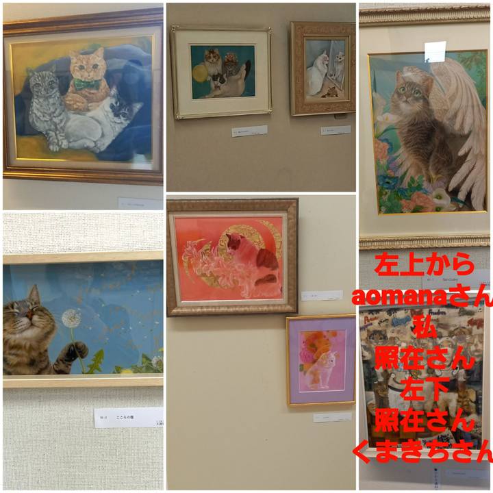 8f5e986e f7be 4f00 9cb9 ec4d91386a8e 1650865965985