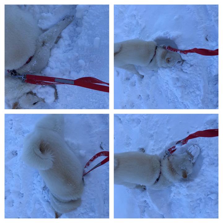 8f5ece63 f200 4114 a765 a652a447079b 1543732782339