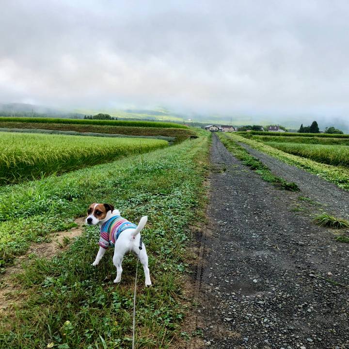 8f5ed4b7 3125 42ef ba6a 1c532b2c6e35 1566344637442