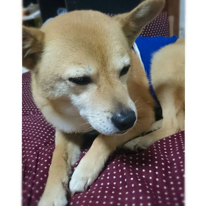 8f5ef991 8eb4 40e5 ba2f cf3600018caf 1537621911218