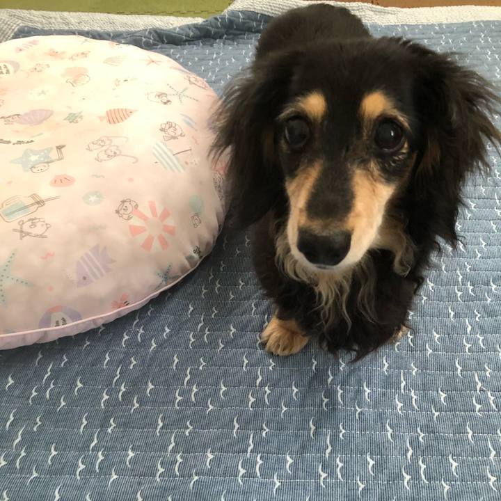 8f5efd67 ae6a 4bdf 8c37 d8021b5755bd 1624867968639