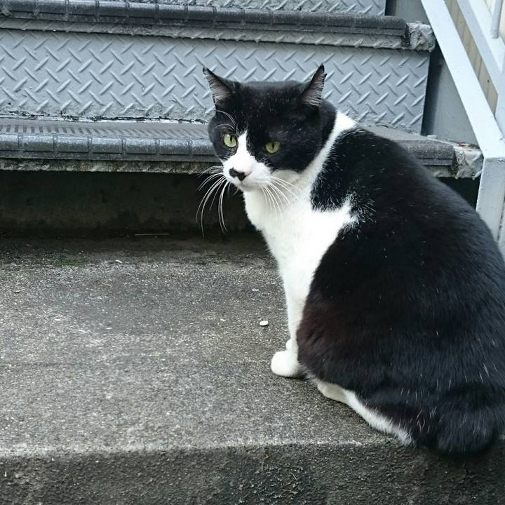 8f5f126d 9f10 4b6d 9346 c14d58ccb6a6 1510897576720