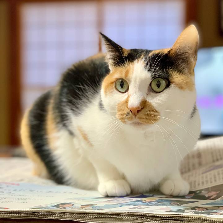 8f5f3775 cfe1 4f44 ba05 a770f9e3c69e 1767236399301